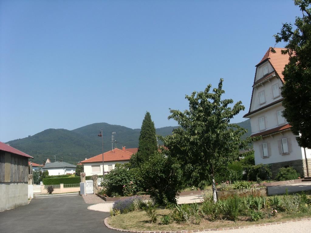 Gite Des Alisiers Wattwiller Bagian luar foto